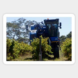 Grape Harvester at Magpie Springs by Avril Thomas Sticker